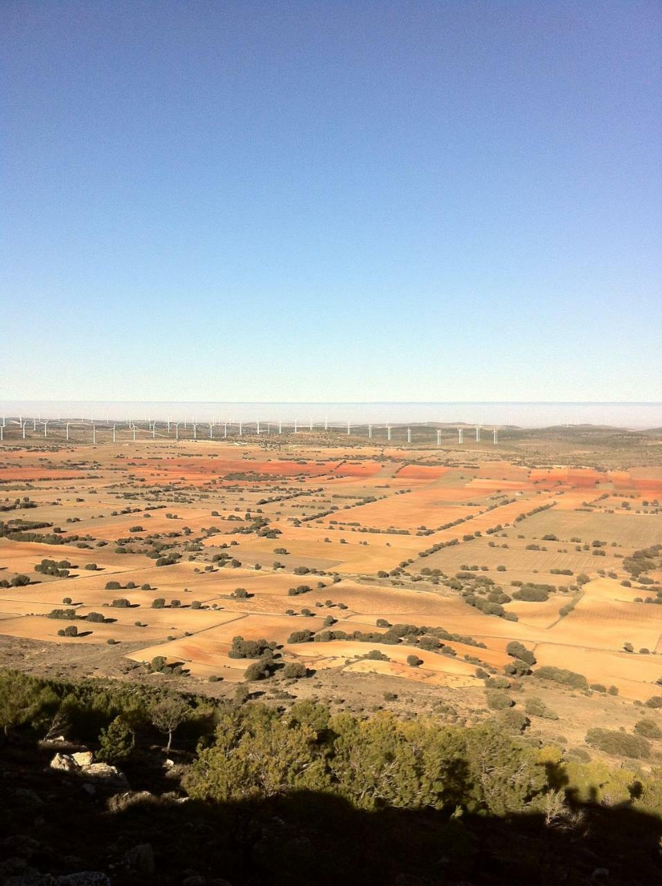 La Posada De Higueruela エクステリア 写真